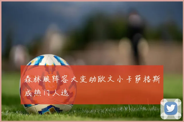 森林狼阵容大变动欧文小卡萨格斯成热门人选