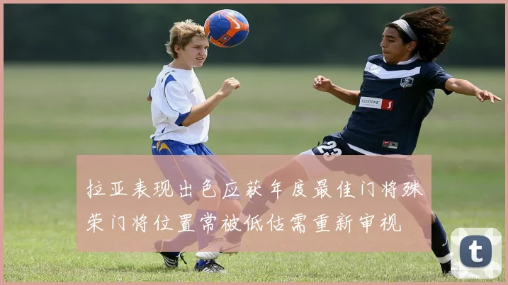 拉亚表现出色应获年度最佳门将殊荣门将位置常被低估需重新审视