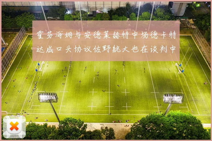 霍芬海姆与安德莱赫特中场德卡特达成口头协议佐野航大也在谈判中